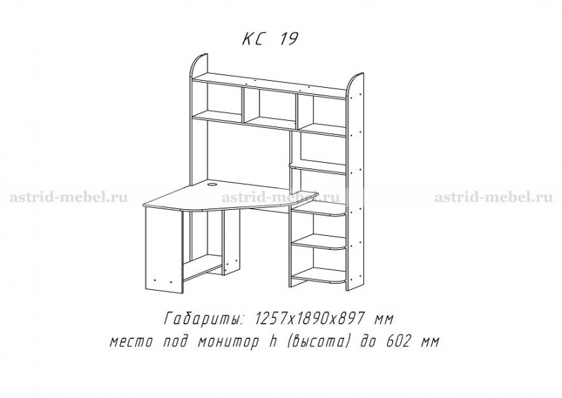 КС 19